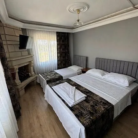 Hotell Aslanlar 3*