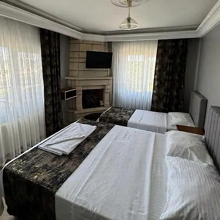 Aslanlar Hotell 3*